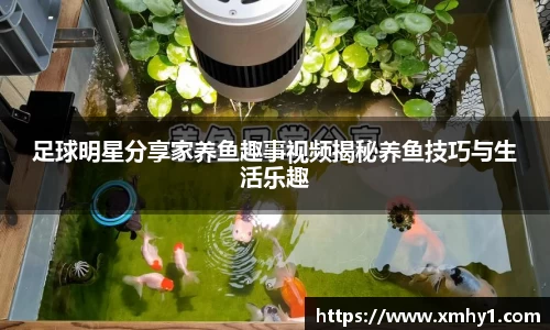 39153k1体育十年品牌值得信赖